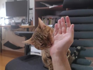 When you pet the furry pussy, she grooms you in return … . Bites hurt.